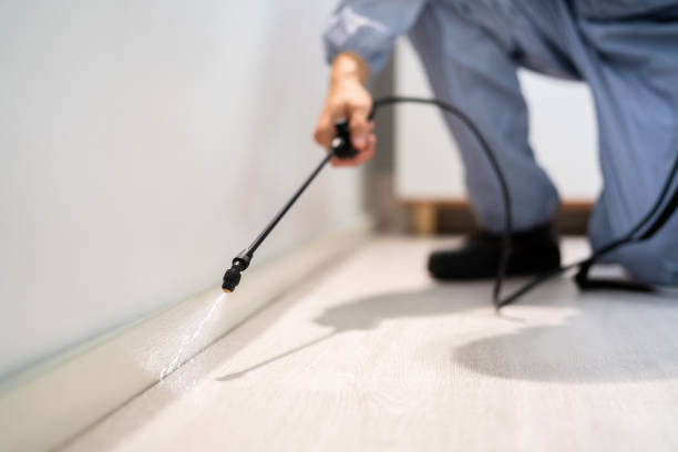 Licensed Fumigation Services service in South Taft, CA - Nex Pest Control