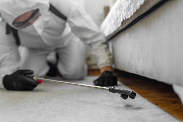 Professional Fumigation Services technician working in South Taft, CA