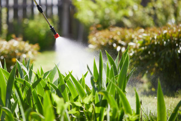 24/7 Emergency Fumigation Services experts in South Taft, CA